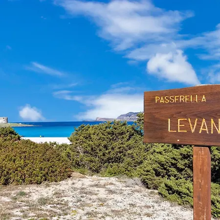 Casa Fiamma Holiday home Stintino